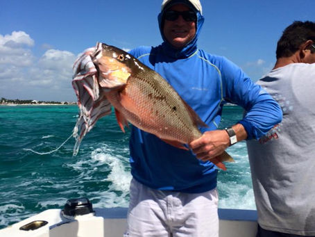 🎵 Vacation – “We Got the Beat… but we need a plan”