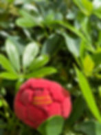 Thumbnail: hacky sack cardio original footbag Steezin' It foot bag soccer
