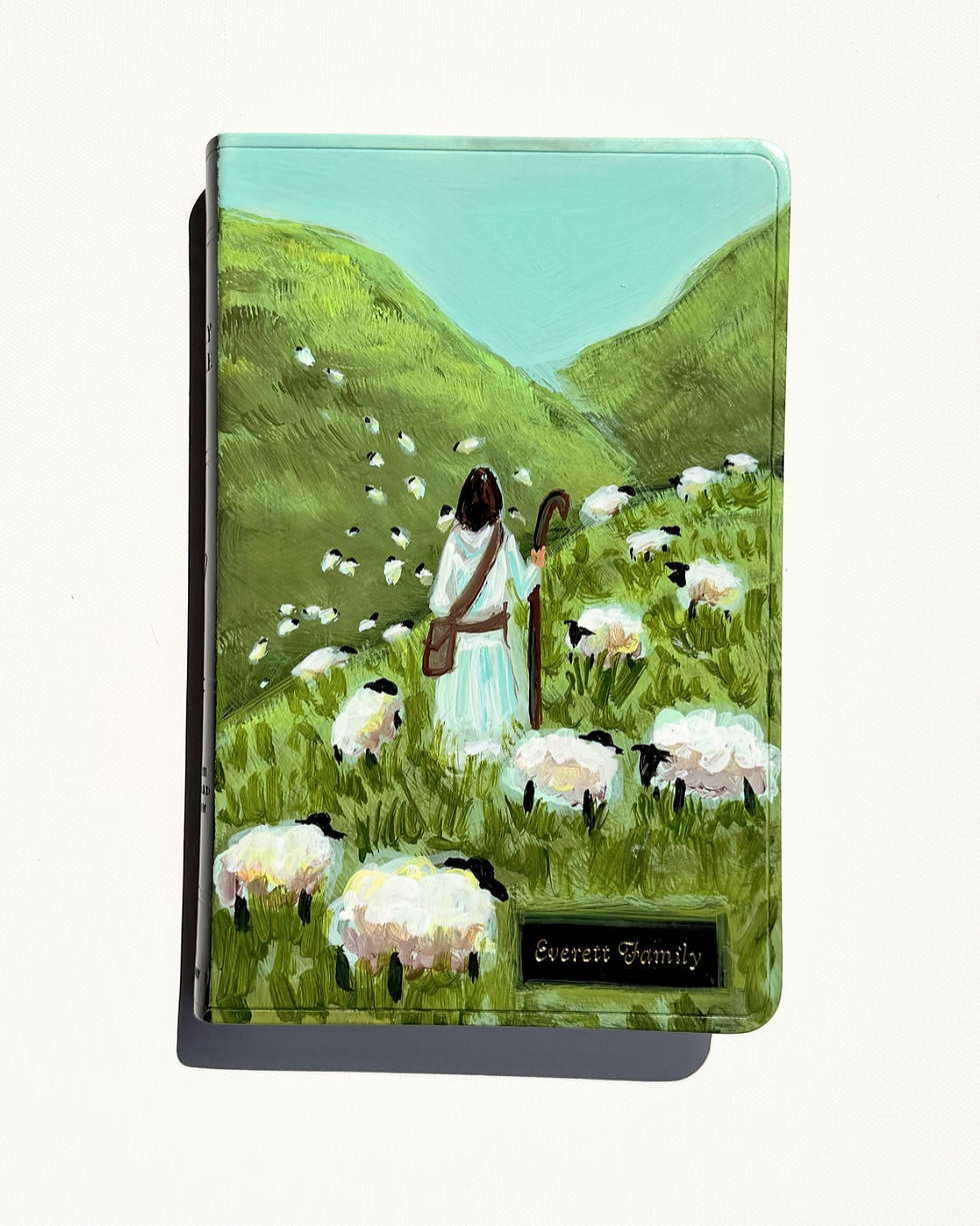 Painted Bible Covers - 24