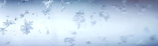 snowflake-falling-photography-by-tera-fraley_edited.jpg