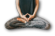 IMG_3669 (cutout) (with shadow).png