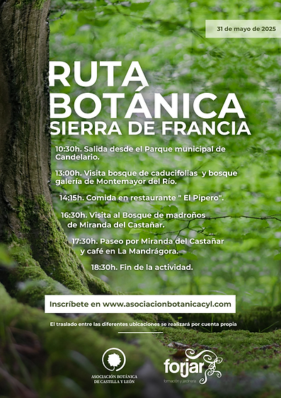 - 930h. Salida desde el Parque de Candelario. (3).png