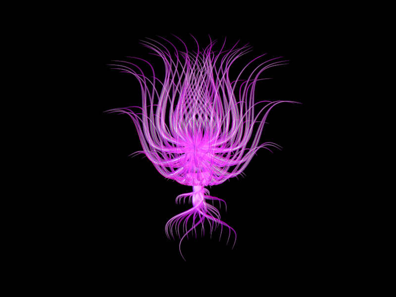 Spliner_geo2.png