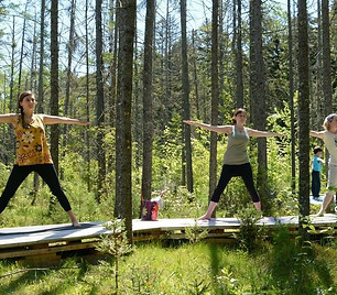 Yoganom.jpg