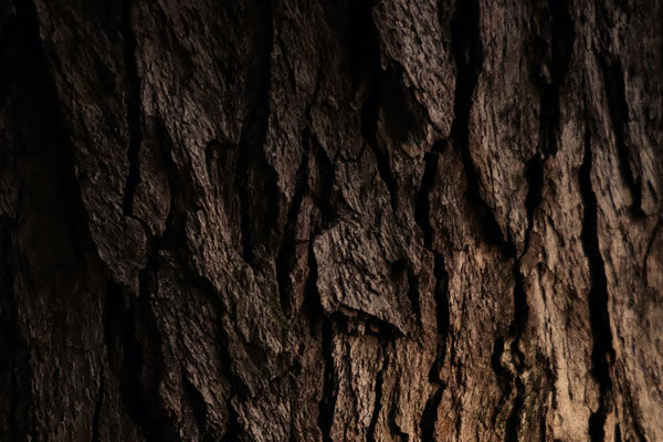 Choosing the Right Wood: A Complete Guide to HDHMR, 710 Grade Plywood, and Marine Plywood