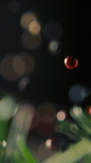 Hnet.com-image (1).gif