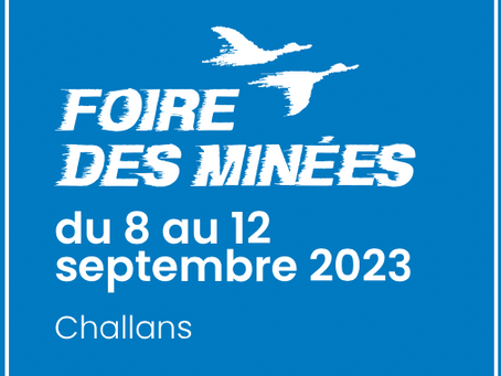 Escalade à la Foire des Minées