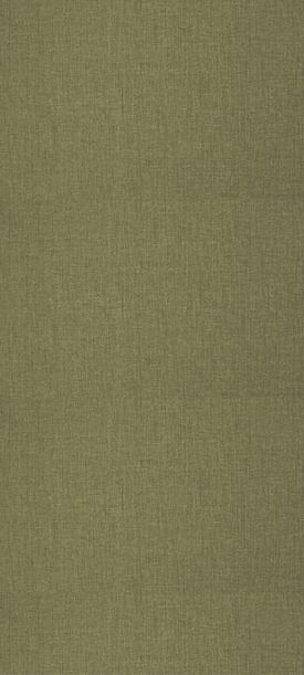 strip background.png