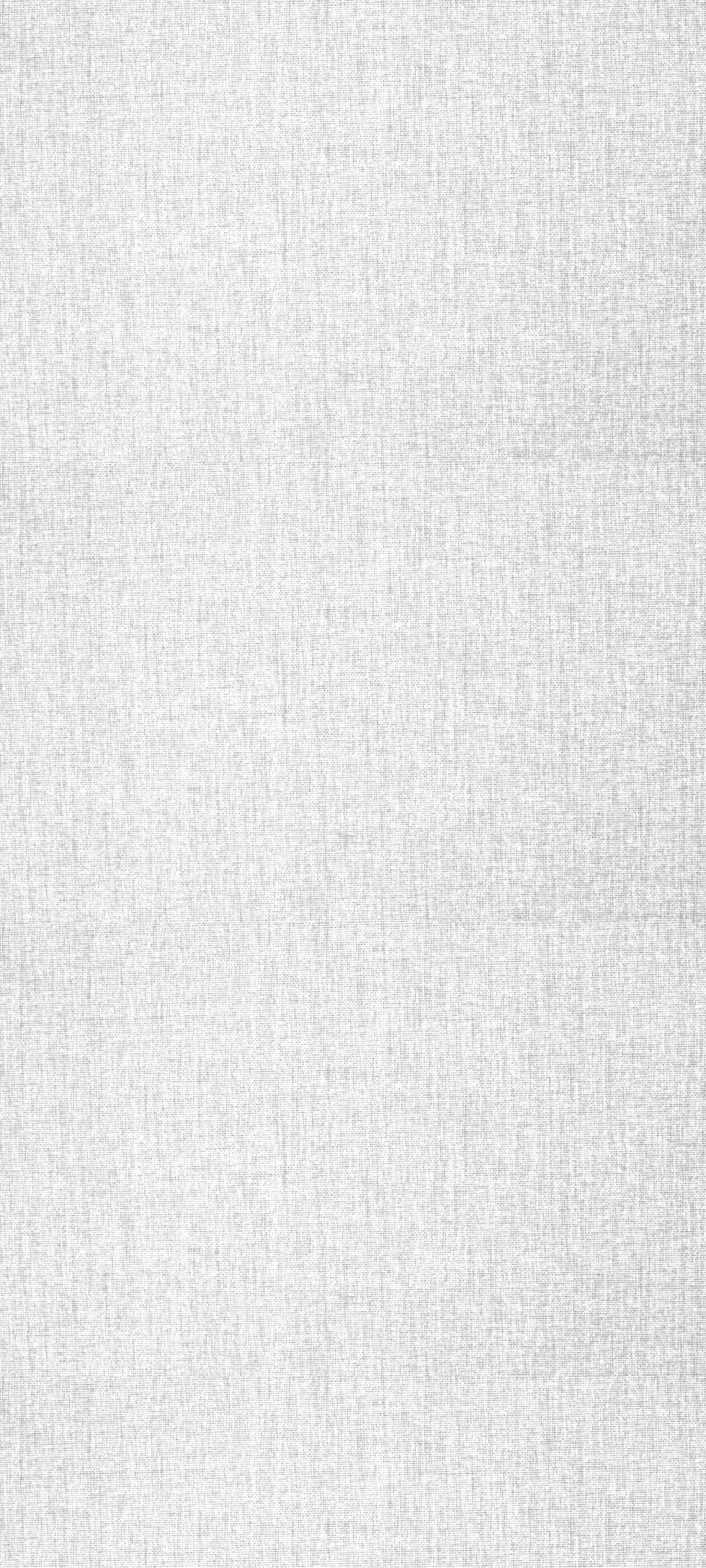 strip background white.png
