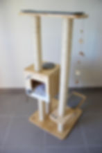 Arbre à chat