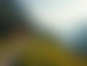 mountside yoga retreat center