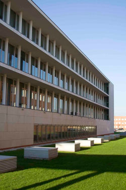 Rute Raposo  Arquitectura