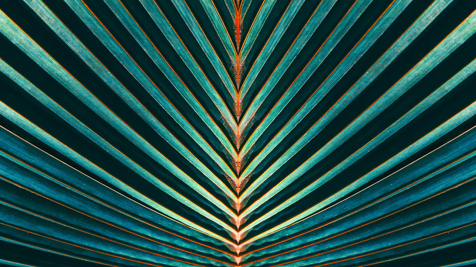 shutterstock_552419902.jpg