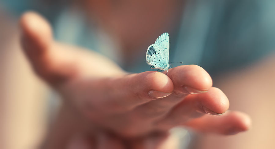 shutterstock_1126007870.jpg