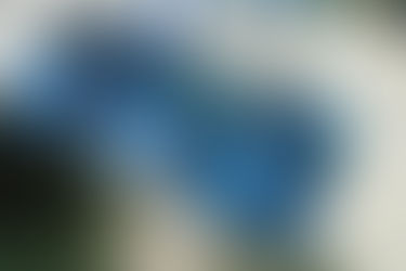 Наш ліцей серед лідерів реформи
