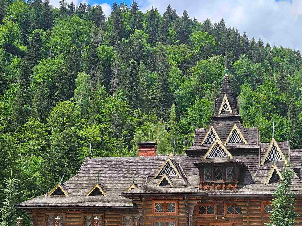 Карпати надихають