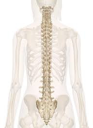 Chiropractic for Headaches