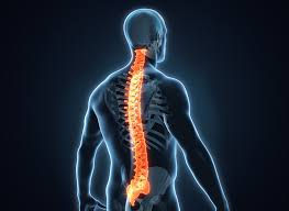 Back Pain ? - Try something new