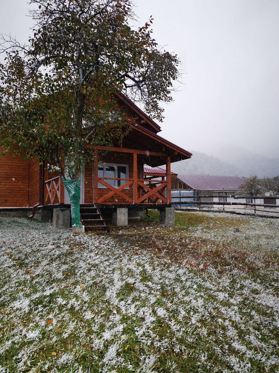 IMG-20230109-WA0015