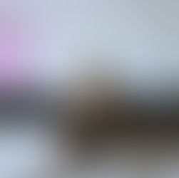 002: Summer Reflections...Faith Reset