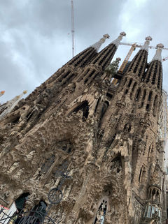 IMG_4438.JPEG
