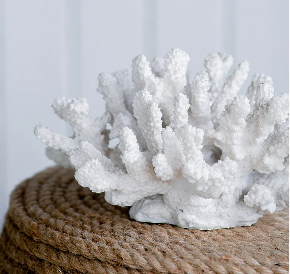 white coral decor piece on woven surface