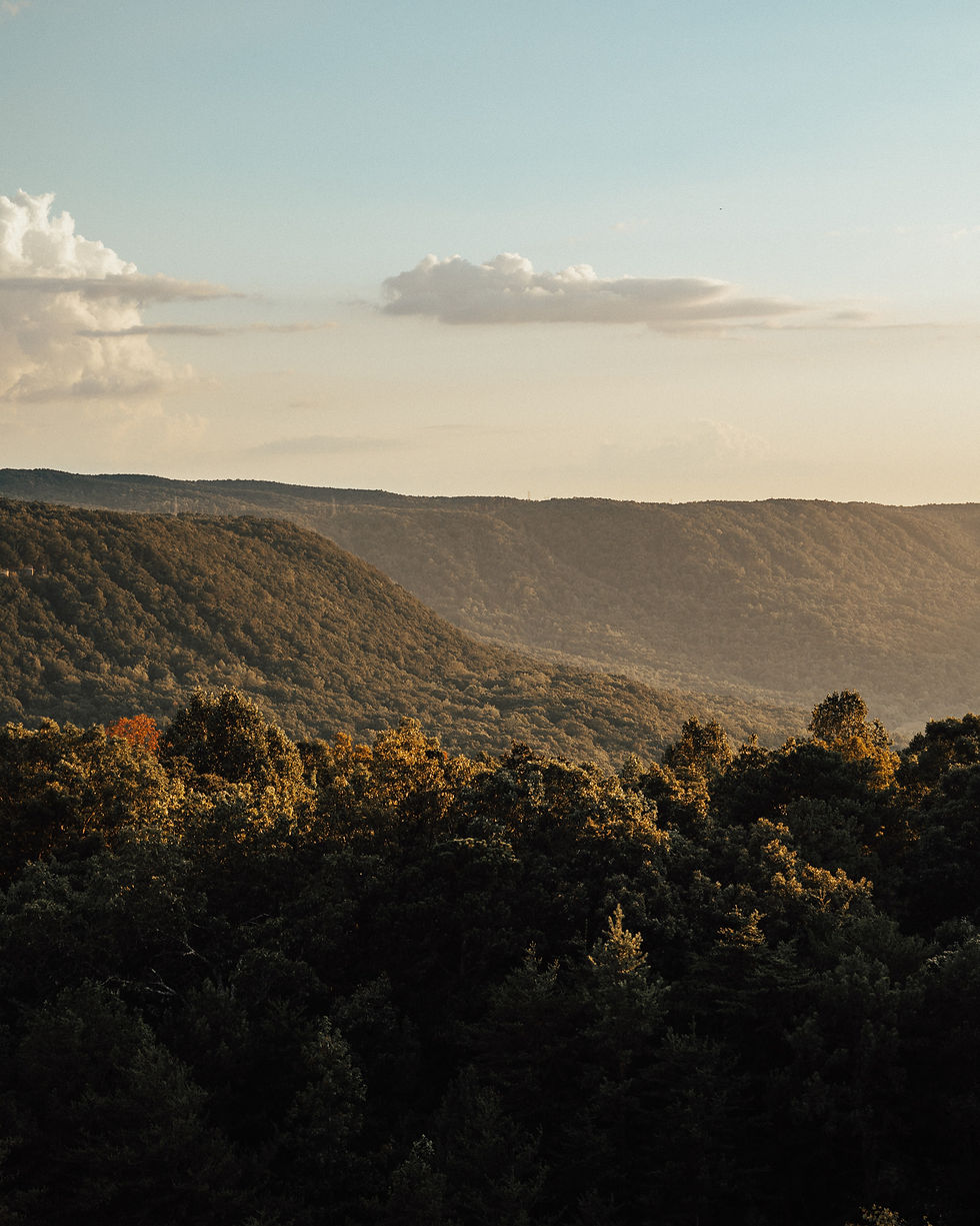 Walker County Scenic View