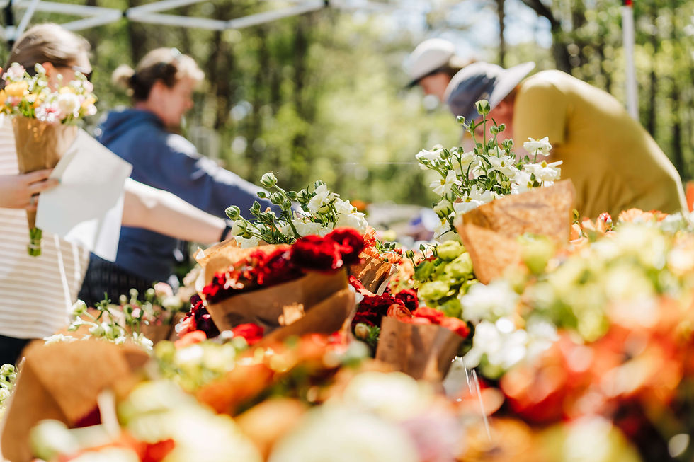 Creekside Flower Farm - Spring Plant Festival