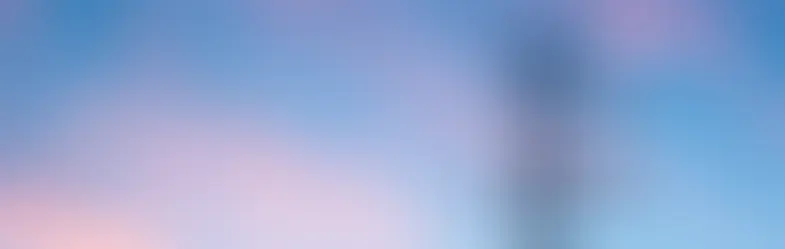 Enhancing the Electric Company Customer Experience: A Key to Transformation