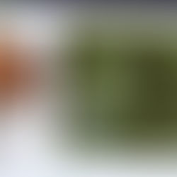 Dhania (Koriander) Chutney, ohne Joghurt 