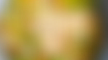 Mini Gurken (Tindora / Cucamelon)