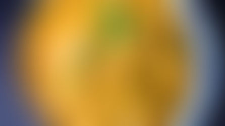 Phool Makhana Curry (Lotus Samen (Fox Nuts) – Erbsen Curry)