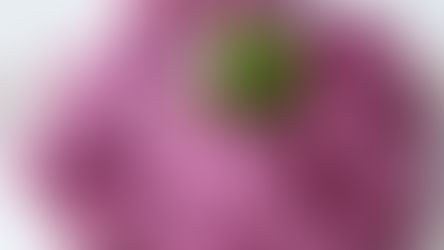 Raita mit Rote Beete 