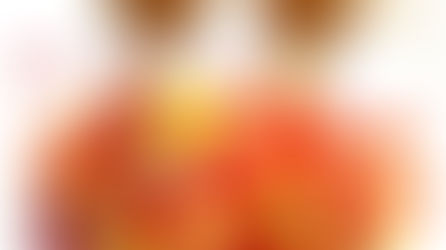 Besan (Kichererbsen) Burfi / Laddu