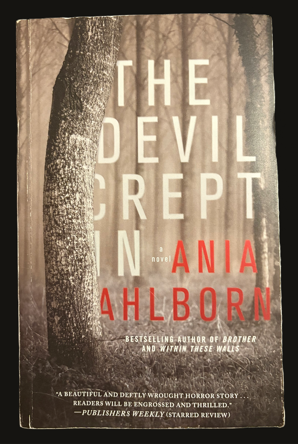 The Devil Crept In by Ania Ahlborn book cover, forest background, thriller novel.