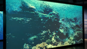 El arte inmersivo: Reflexiones a partir de la exposición "Ecos del océano"