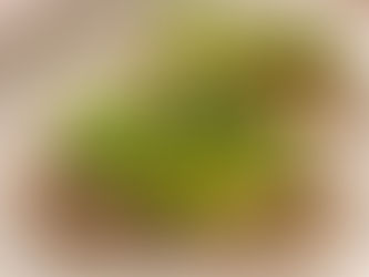 לחם כוסמת ירוקה ממרכיב אחד | ללא גלוטן, טבעוני, קל להכנה.