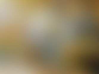 Les parcs du 17ème aux couleurs de l'automne