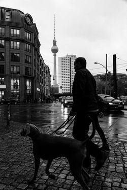 _DSC5708w1920