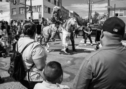 _DSC2522q1920