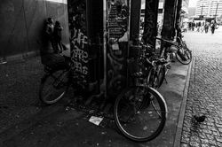 _DSC5583w1920
