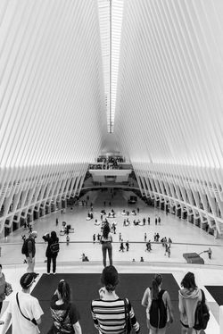 _DSC7607q1920