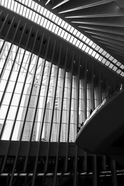 _DSC7579q1920