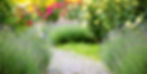 AdobeStock_272750964.jpeg