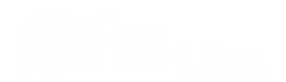 LOGO ONE CARRIER blanco.png