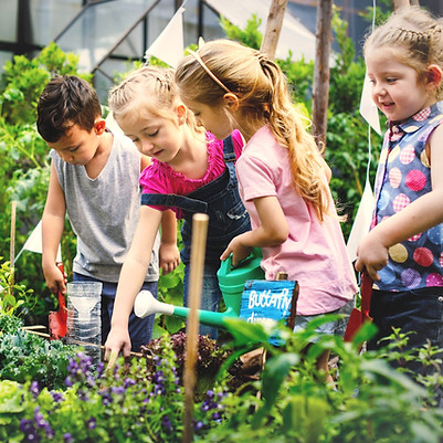 group-of-kindergarten-kids-learning-gard