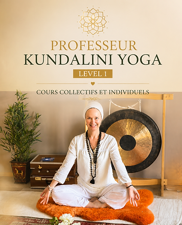 Professeur Level 1.1.png