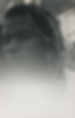 pugs pic.png