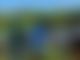 Breno Garibalde denúncia crime ambiental no Rio Japaratuba