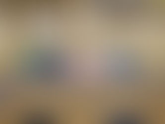 Fogos de artifício: “É possível preservar tradições sem prejudicar vidas”, afirma Breno Garibalde